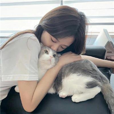 大白鲨4封面