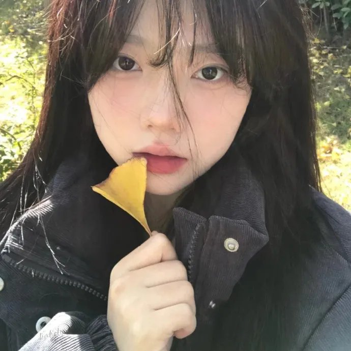 阴守忍者封面